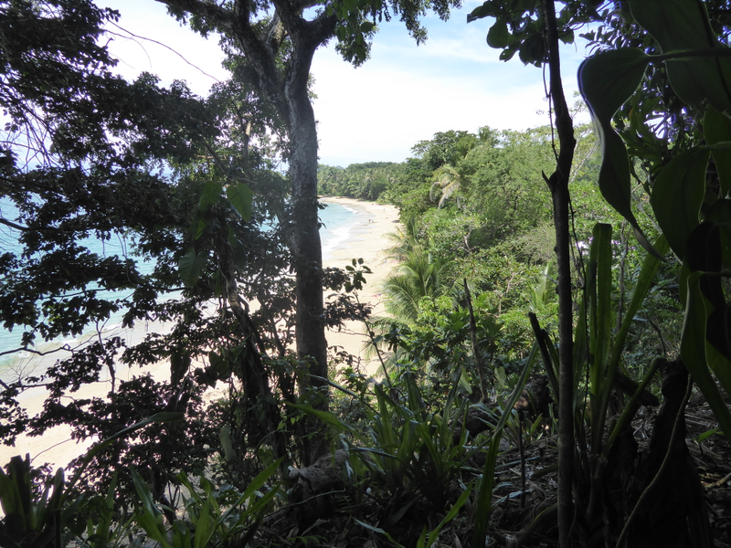 The other side of Punta Uva seen on our way to the cliff.